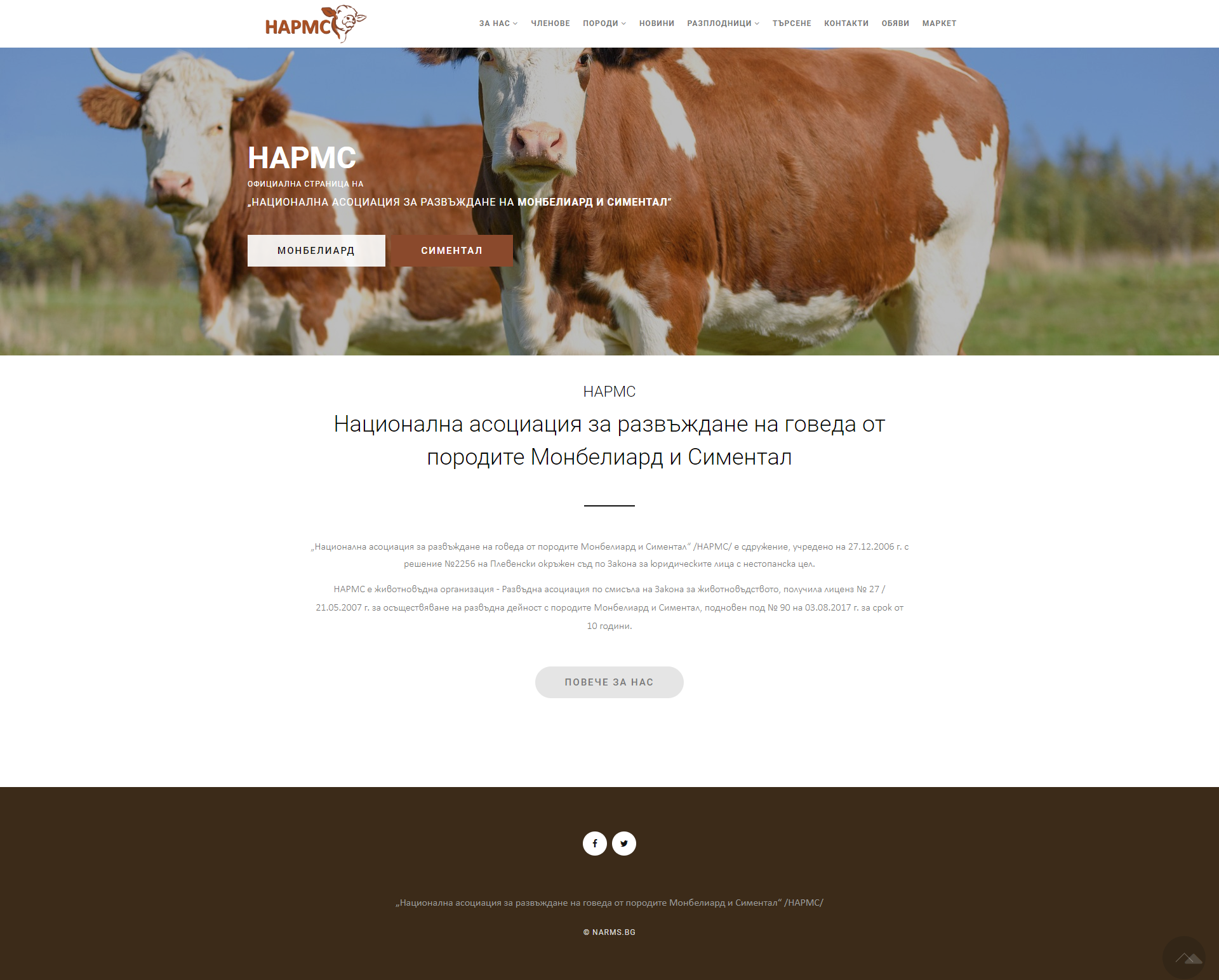 Уеб сайт за национална асоциация